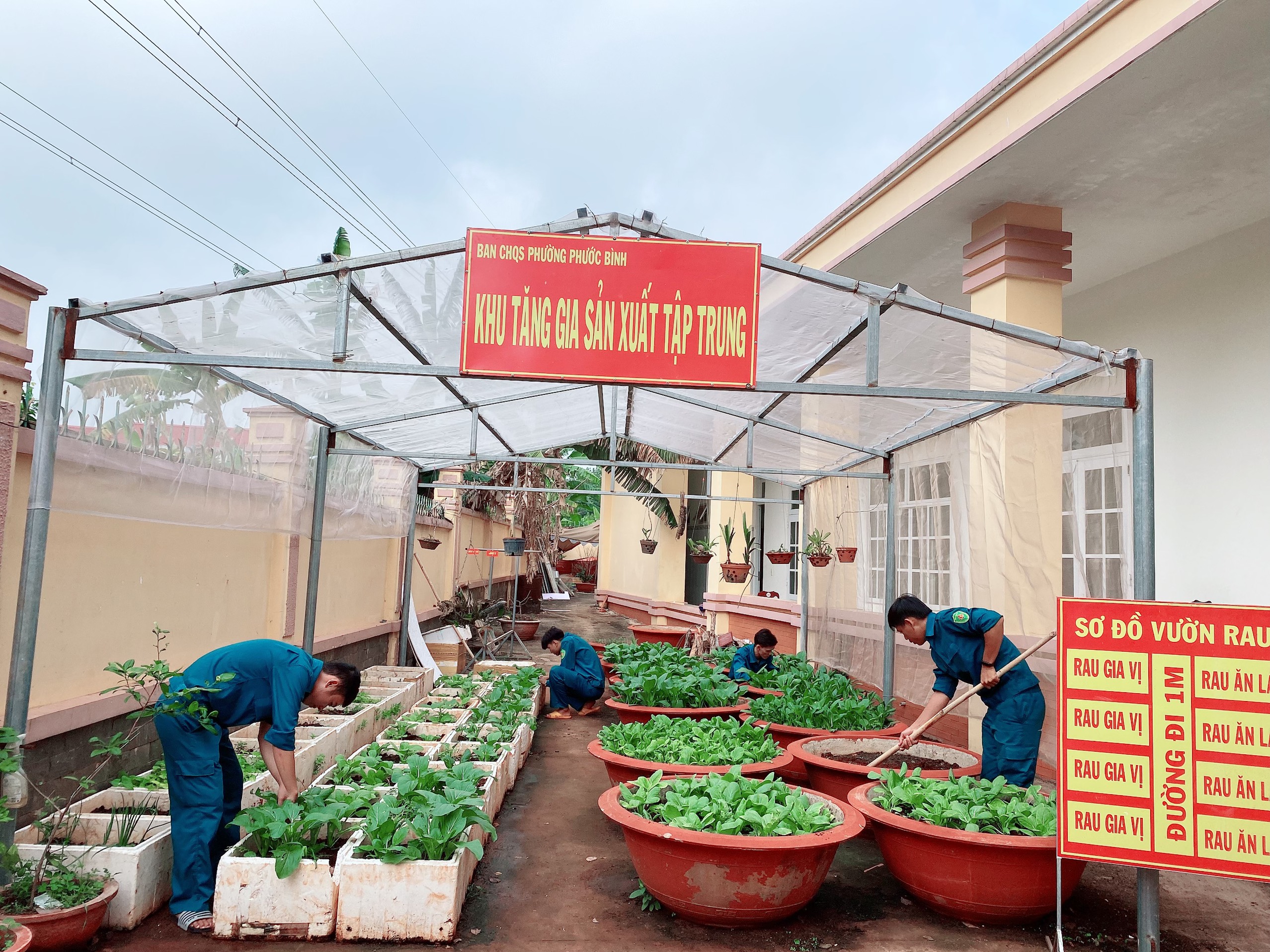 Khu vực tăng gia sản xuất